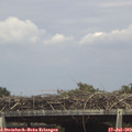 15_15-mast.jpg