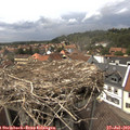 15_15-nest.jpg