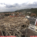 15_20-nest.jpg