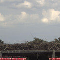 15_25-mast.jpg