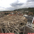 15_25-nest.jpg