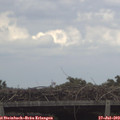 15_30-mast.jpg