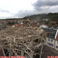 15_30-nest.jpg