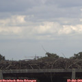 15_35-mast.jpg