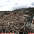 15_35-nest.jpg