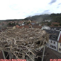 15_40-nest.jpg