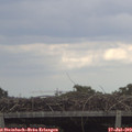 15_45-mast.jpg