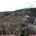 15_45-nest.jpg