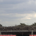 15_50-mast.jpg
