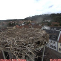 15_50-nest.jpg