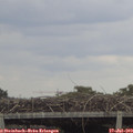 15_55-mast.jpg