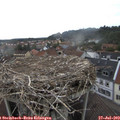 15_55-nest.jpg