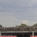 16_00-mast.jpg