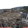 16_00-nest.jpg