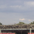 16_05-mast.jpg