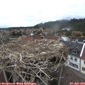 16_05-nest.jpg