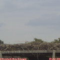 16_15-mast.jpg