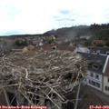16_15-nest.jpg
