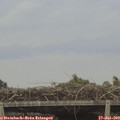 16_20-mast.jpg