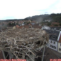 16_20-nest.jpg