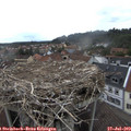 16_25-nest.jpg