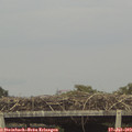 16_35-mast.jpg