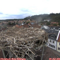 16_35-nest.jpg