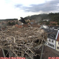 17_25-nest.jpg