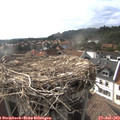 17_50-nest.jpg