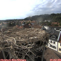 17_55-nest.jpg