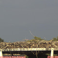 18_00-mast.jpg