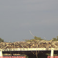 18_05-mast.jpg