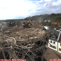 18_05-nest.jpg