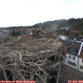 18_10-nest.jpg
