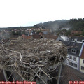 18_15-nest.jpg