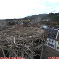 18_20-nest.jpg