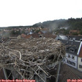 18_25-nest.jpg