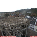 18_30-nest.jpg