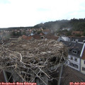 18_35-nest.jpg