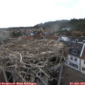 18_40-nest.jpg