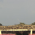 18_45-mast.jpg