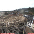 18_45-nest.jpg