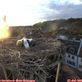 20_20-nest.jpg