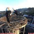 06_25-nest.jpg