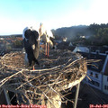 06_30-nest.jpg