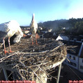 06_55-nest.jpg