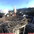 07_10-nest.jpg