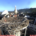 07_35-nest.jpg