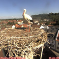 09_55-nest.jpg