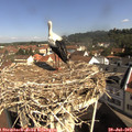 10_00-nest.jpg